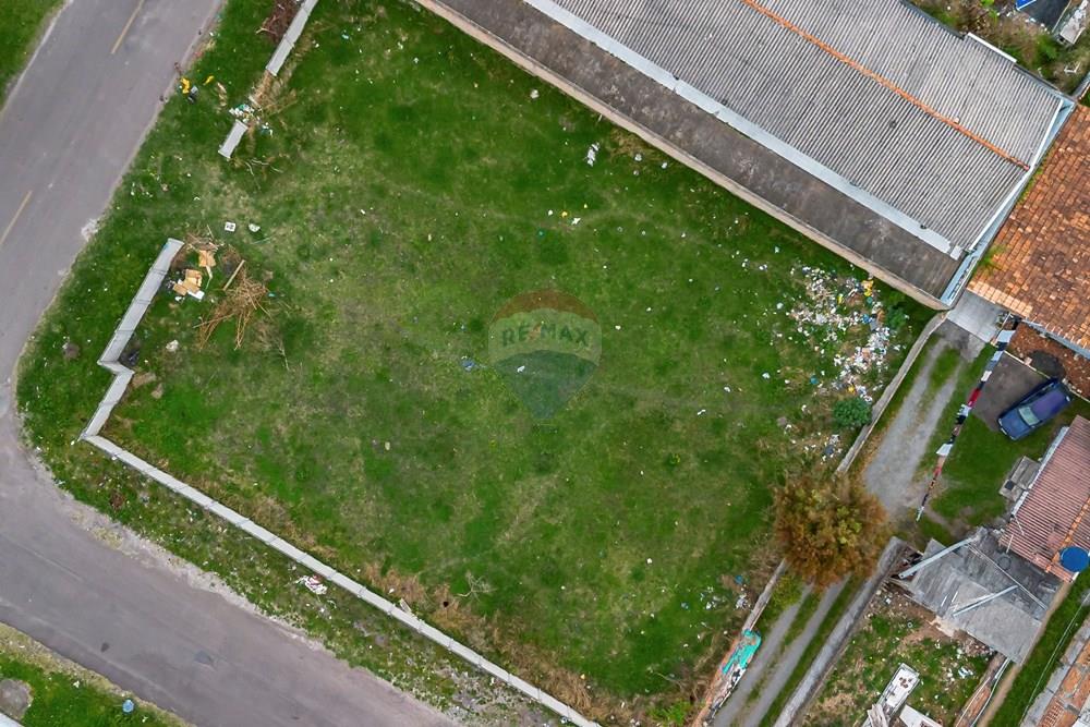 Terreno - Venda - São José dos Pinhais , Paraná - DJI_0295_1.jpg - 560301005-56