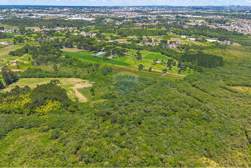 Chácara / Sítio / Fazenda - Venda - São José dos Pinhais , Paraná - DJI_0425_1.jpg - 560331128-24