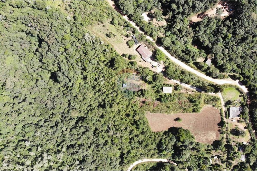 Chácara / Sítio / Fazenda - Venda - Campo Magro , Paraná - WhatsApp Image 2025-04-09 at 19.11.24.jpeg - 560351106-18