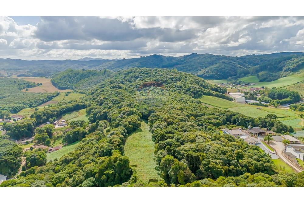 Terreno - Venda - Colombo , Paraná - DJI_20250317150026_0136_D.jpg - 560391062-11