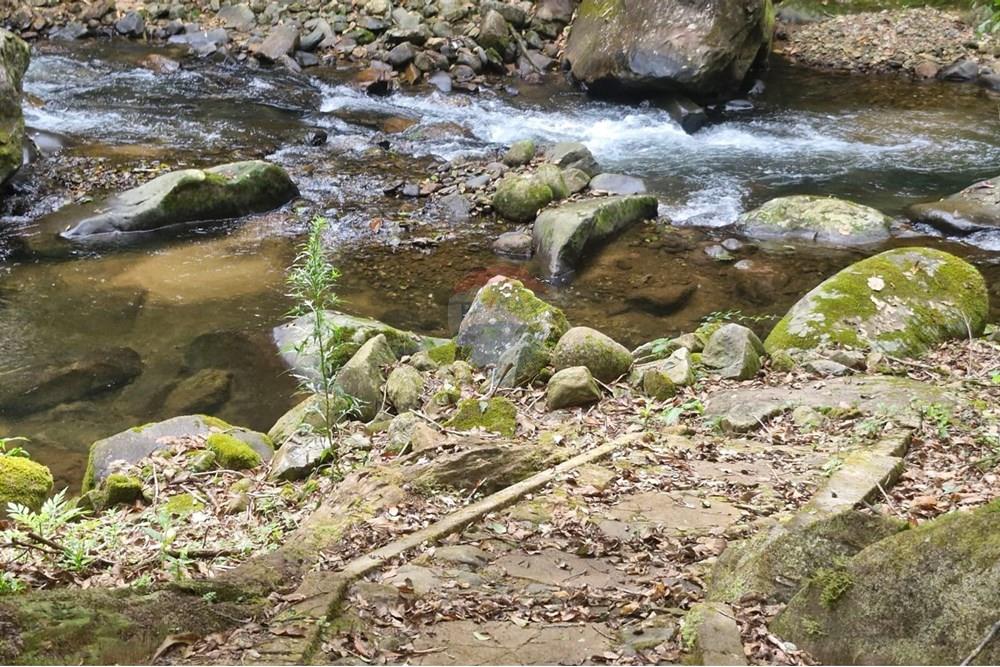 Chácara / Sítio / Fazenda - Venda - Guaratuba , Paraná - IMG-20251026-WA0038.jpg - 560321090-38