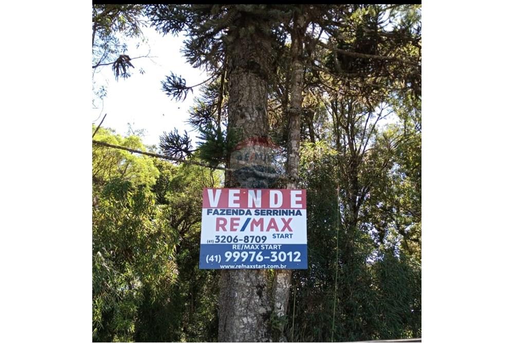 Terreno - Venda - Calmon , Santa Catarina - WhatsApp Image 2025-03-23 at 21.20.48.jpeg - 560351109-12