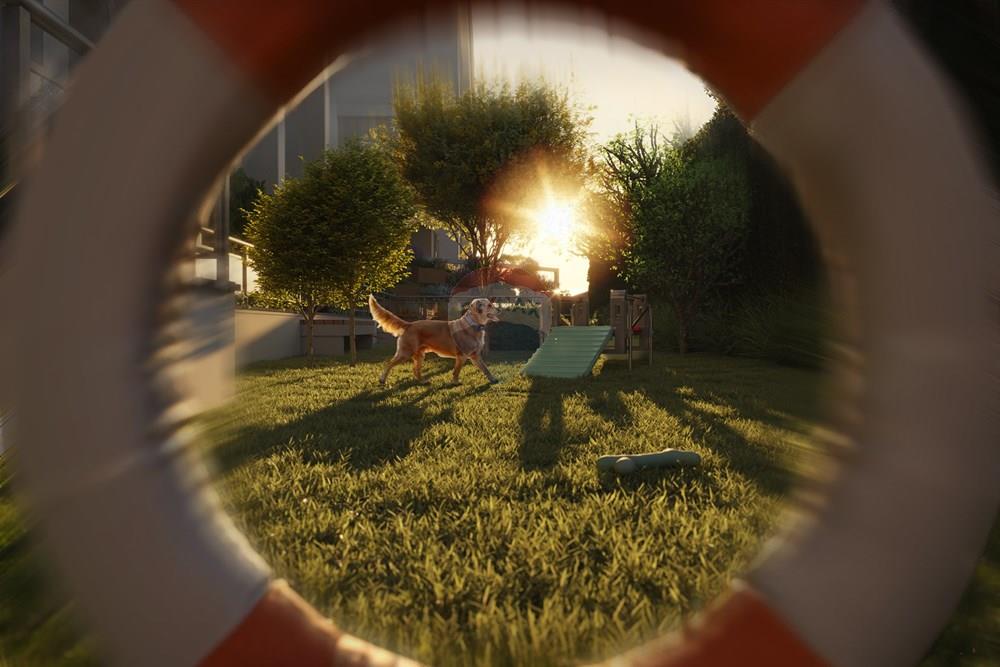 Apartamento - Venda - Curitiba , Paraná - PIEAL_Petplace.jpg - 560461033-2