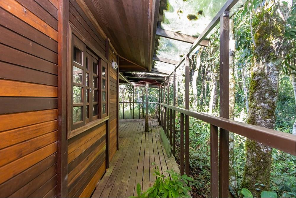 Chácara / Sítio / Fazenda - Venda - Piraquara , Paraná - IMG_3623.jpg - 560431012-39