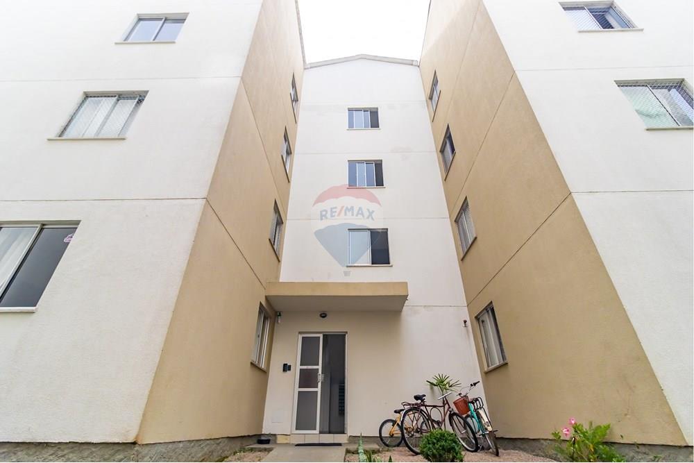 Apartamento - Venda - São José dos Pinhais , Paraná - IMG_4679.jpg - 560471003-11