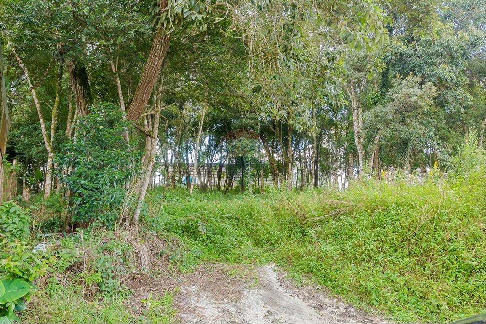 Terreno - Venda - Colombo , Paraná - _MG_7379.jpg - 560391062-13