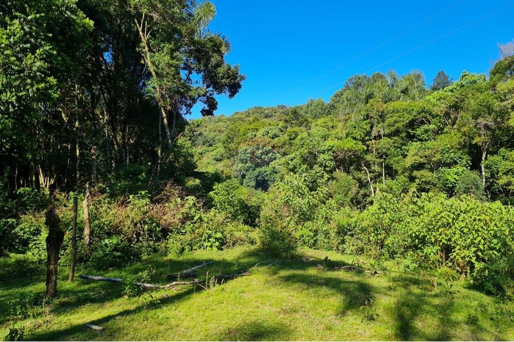 Chácara / Sítio / Fazenda - Venda - Tijucas do Sul , Paraná - 2b319d92-19ec-4bc9-8503-1afc23f096a1.jpeg - 560391051-20