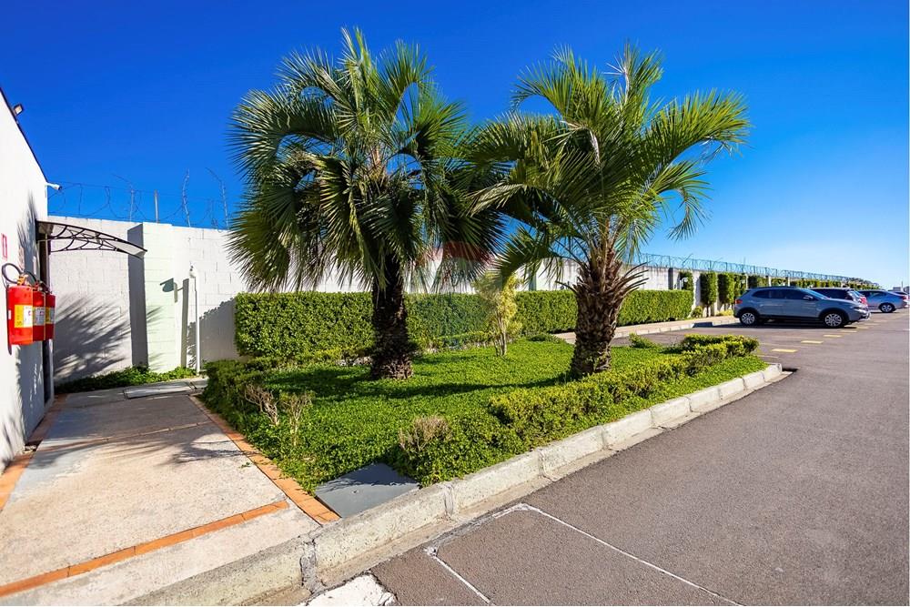 Apartamento - Venda - São José dos Pinhais , Paraná - IMG_2716_1.jpg - 560411051-213