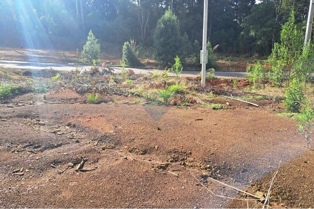 Terreno - Venda - Fazenda Rio Grande , Paraná - WhatsApp Image 2025-08-29 at 19.16.38.jpeg - 560441032-9