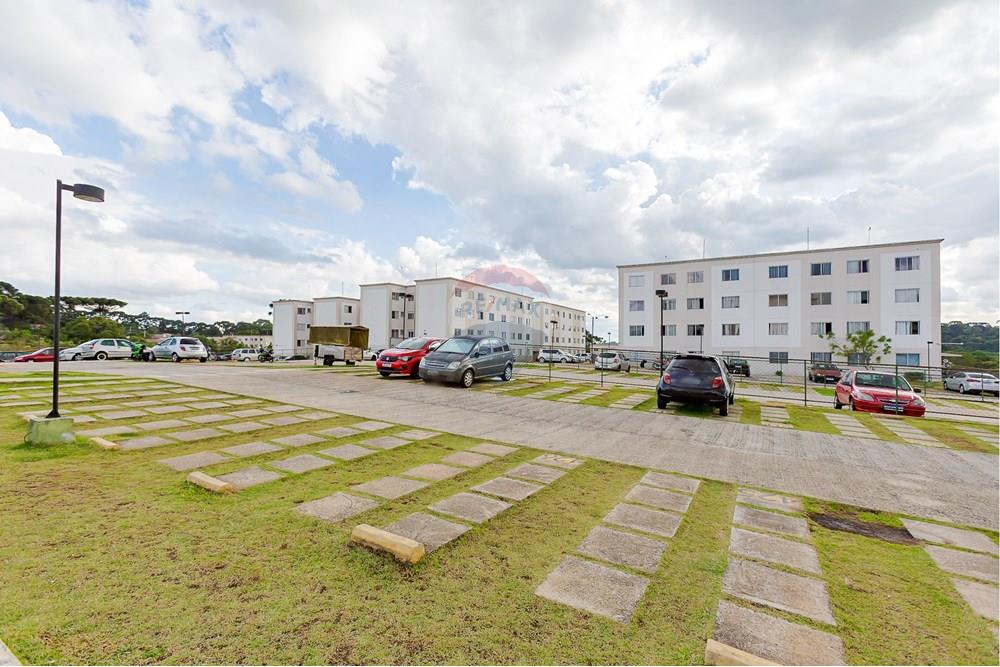 Apartamento - Venda - São José dos Pinhais , Paraná - IMG_2786.jpg - 560351119-12