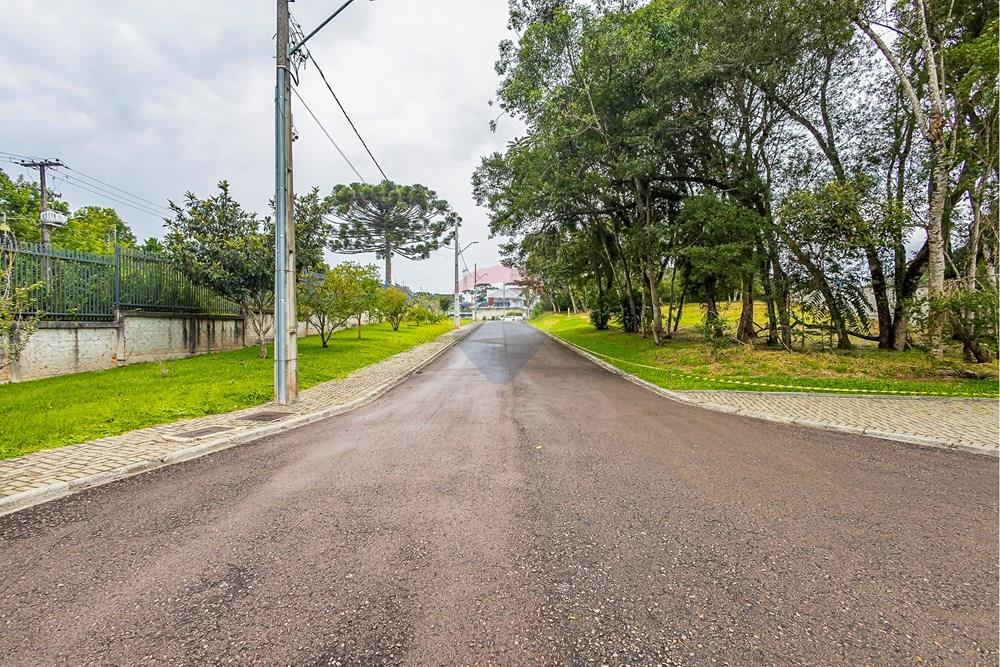 Terreno - Venda - Curitiba , Paraná - SHEEP - IMG_2548_1.jpg - 560341101-20