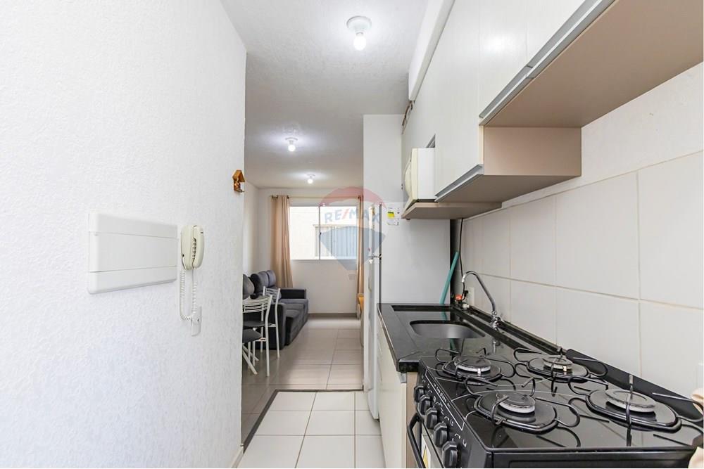 Apartamento - Alugar - São José dos Pinhais , Paraná - IMG_2257_1.jpg - 560251018-302