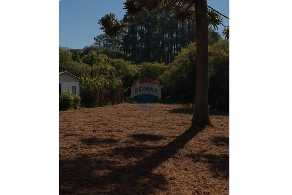 Terreno - Venda - Campo Largo , Paraná - 1.jpeg - 560351155-5