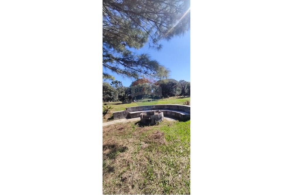 Chácara / Sítio / Fazenda - Venda - São José dos Pinhais , Paraná - 23.jpeg - 560331080-8