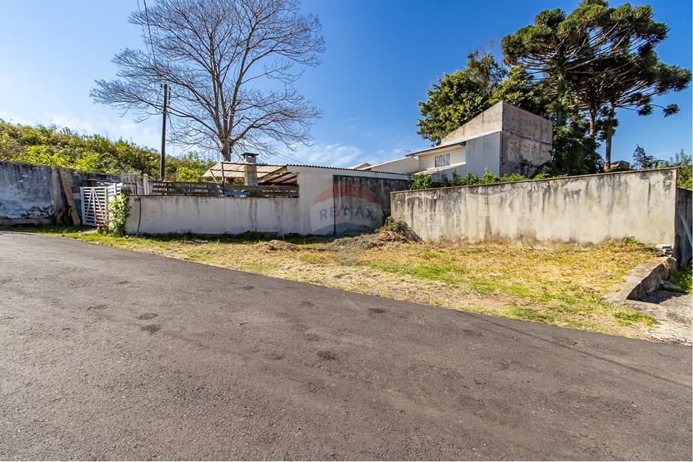 Terreno - Venda - Curitiba , Paraná - IMG_7346.jpg - 560341040-21