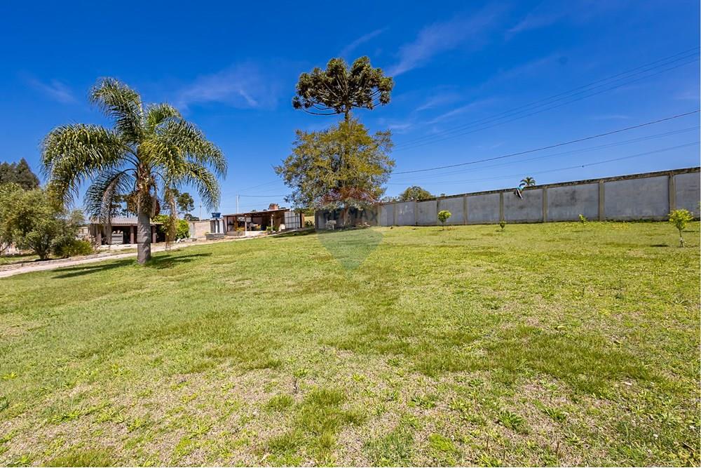 Chácara / Sítio / Fazenda - Venda - Campina Grande do Sul , Paraná - IMG_4586.jpg - 560411009-91