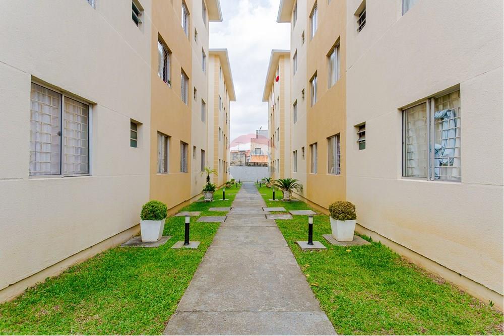 Apartamento - Venda - Curitiba , Paraná - 4M8A6678.jpg - 560411056-11