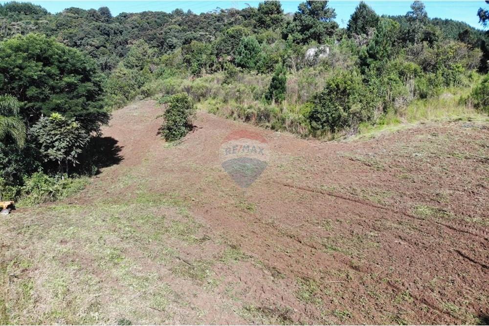 Chácara / Sítio / Fazenda - Venda - Campo Magro , Paraná - WhatsApp Image 2025-04-09 at 19.11.19 (1).jpeg - 560351106-18