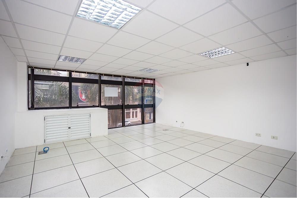 Turunduslik - Äripind - Curitiba , Paraná - BR - _MG_2280.jpg - 560351125-43