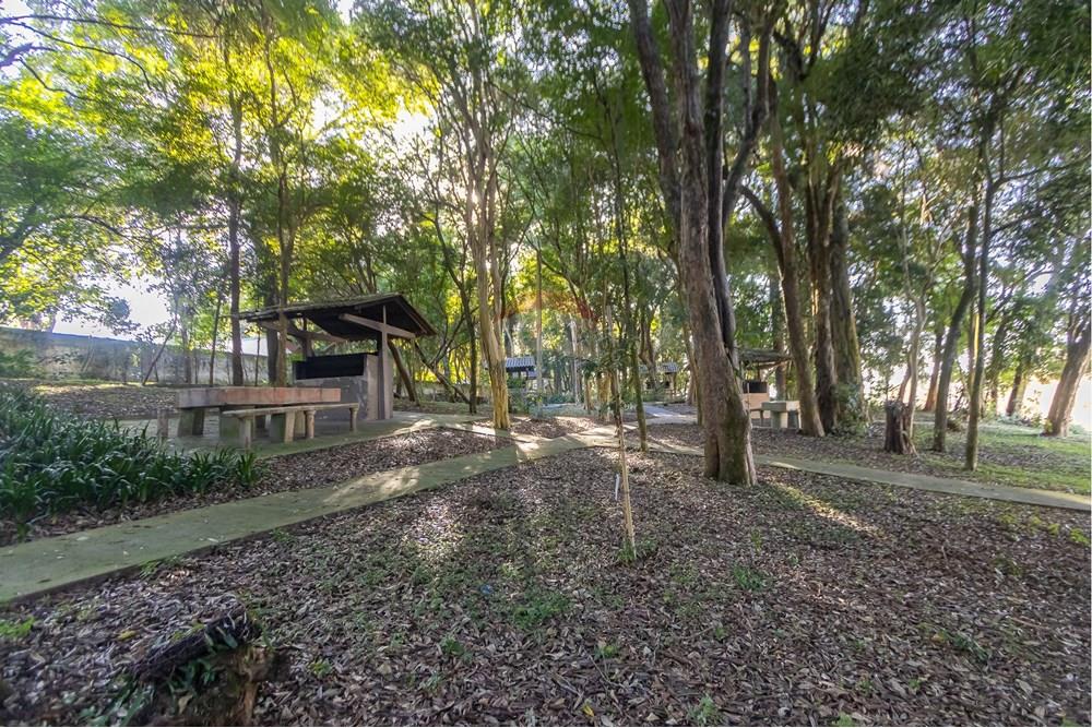 Apartamento - Venda - Curitiba , Paraná - IMG_8617.jpg - 560441028-9