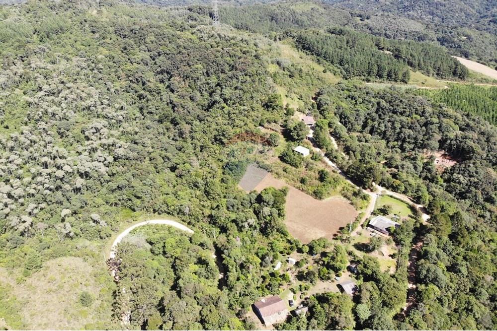 Chácara / Sítio / Fazenda - Venda - Campo Magro , Paraná - WhatsApp Image 2025-04-09 at 19.11.28.jpeg - 560351106-18