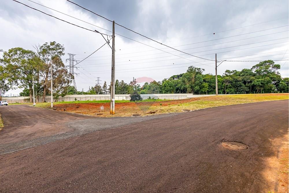 Terreno - Venda - Curitiba , Paraná - sheep - IMG_2565_1.jpg - 560341101-21