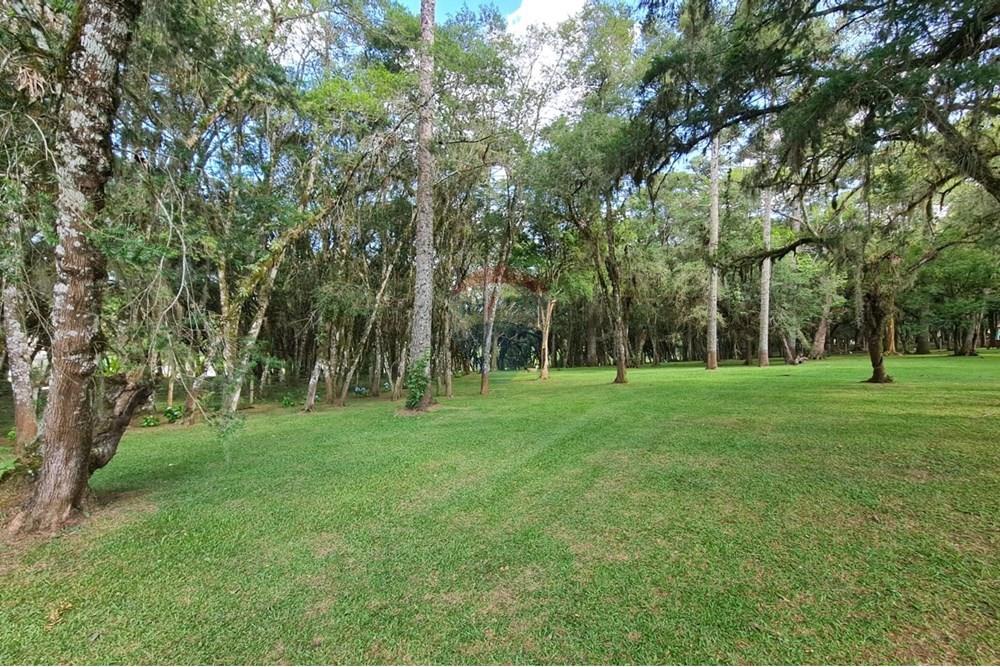 Casa Comercial - Alugar - São José dos Pinhais , Paraná - 112e98a9-ed86-4c47-aadc-48ac606b5b5e.jpeg - 560331128-18