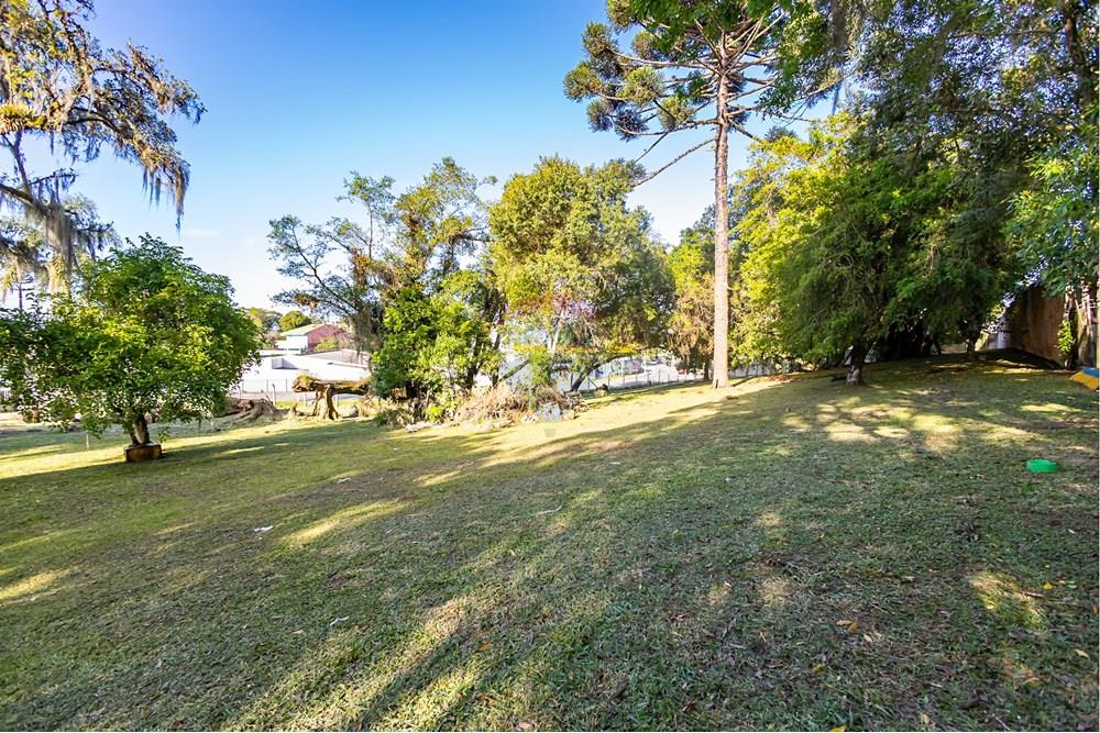 Terreno - Venda - Colombo , Paraná - IMG_9257.jpg - 560321090-43