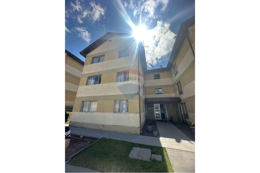 Apartamento - Venda - Colombo , Paraná - IMG-20251104-WA0035.jpg - 560501004-1