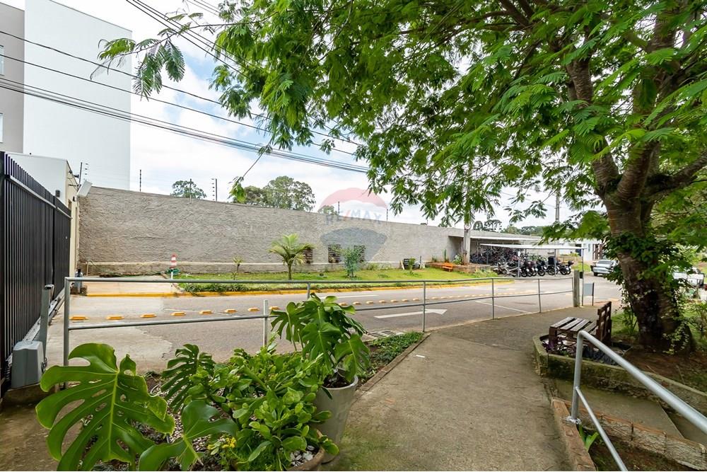 Apartamento - Venda - São José dos Pinhais , Paraná - IMG_3053.jpg - 560471003-11