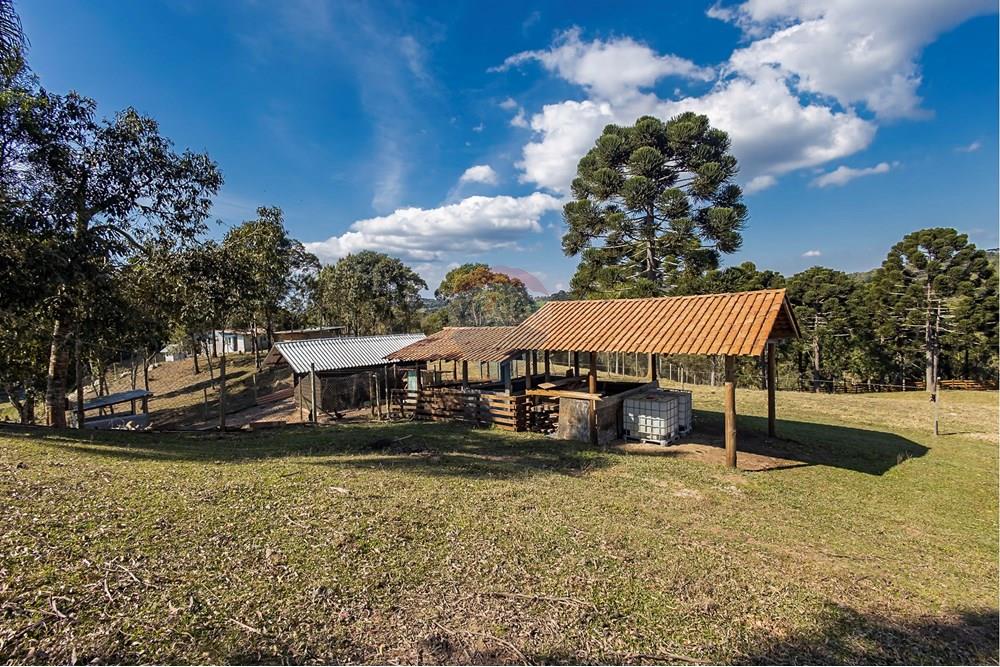 Chácara / Sítio / Fazenda - Venda - Campo Largo , Paraná - F (30).jpg - 560351150-1