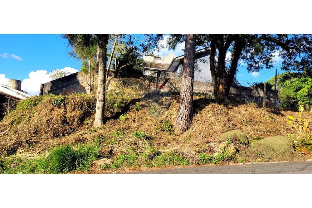 Terreno - Venda - Curitiba , Paraná - foto 2.jpg - 560251041-53