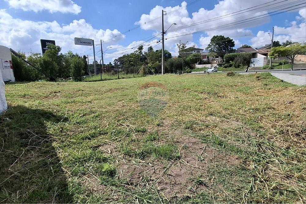 Terreno - Venda - Curitiba , Paraná - Terreno 1.jpeg - 560441028-36