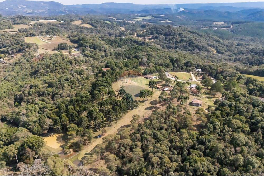 Chácara / Sítio / Fazenda - Venda - Campo Largo , Paraná - F (23).jpg - 560351150-1