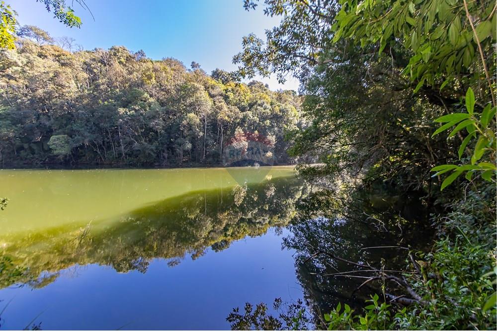 Chácara / Sítio / Fazenda - Venda - Piraquara , Paraná - IMG_3628.jpg - 560431012-39