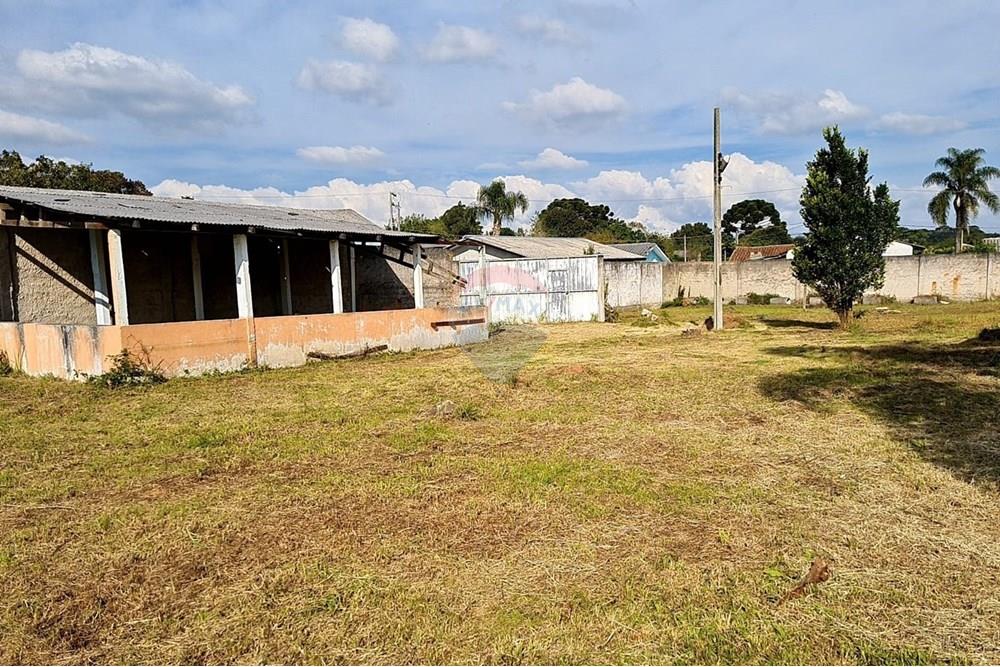 Terreno - Venda - São José dos Pinhais , Paraná - 9ba6e910-6774-452b-811c-a2b8bfd212ae.jpeg - 560391051-19