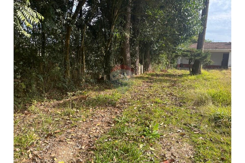 Terreno - Venda - Colombo , Paraná - IMG-20250717-WA0070.jpg - 560411036-8