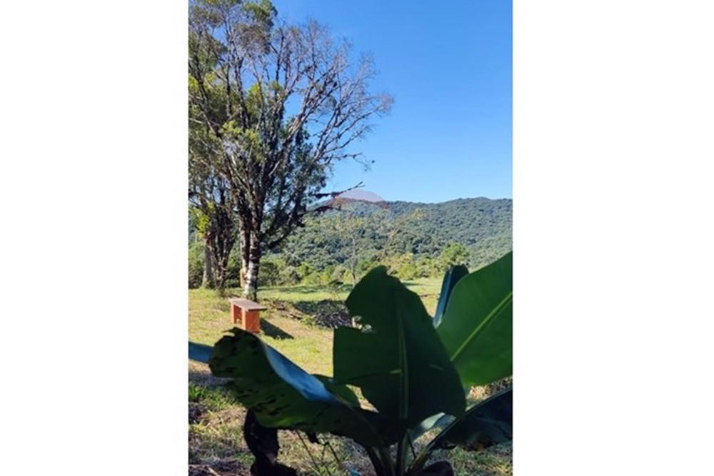 Chácara / Sítio / Fazenda - Venda - São José dos Pinhais , Paraná - 61.jpeg - 560331080-8