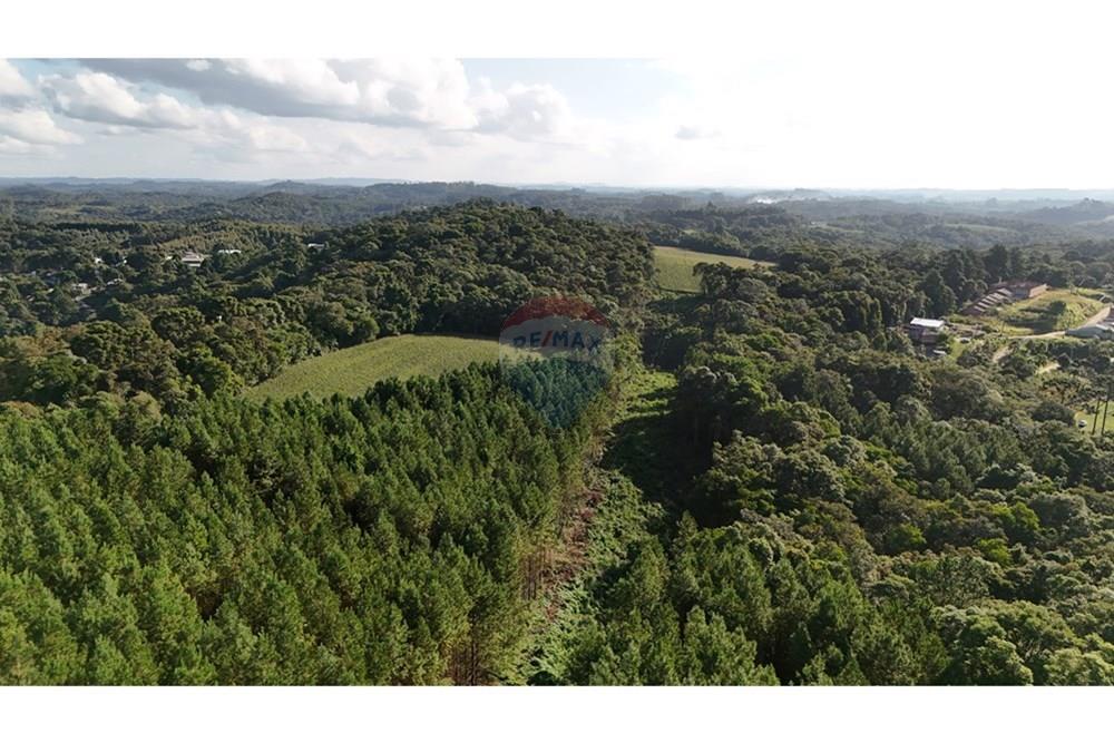 Terreno - Venda - Mandirituba , Paraná - DJI_20260302165530_0532_D.JPG - 560251068-41