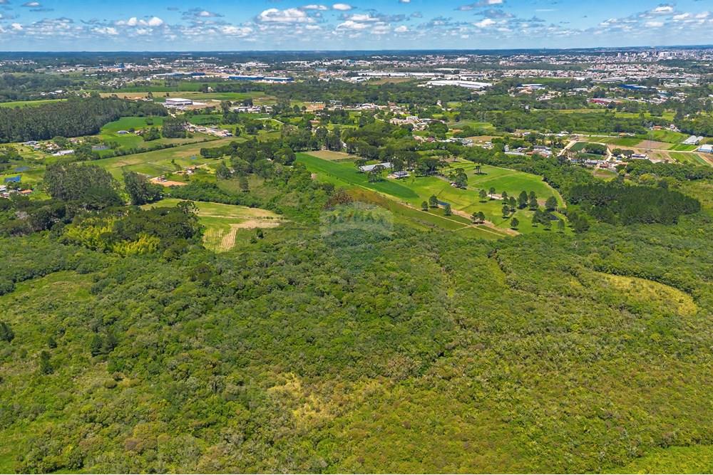 Chácara / Sítio / Fazenda - Venda - São José dos Pinhais , Paraná - DJI_0427_1.jpg - 560331128-24