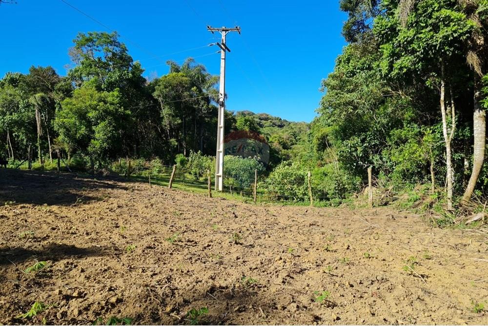 Chácara / Sítio / Fazenda - Venda - Tijucas do Sul , Paraná - b8cecfb1-5e57-4990-8bf1-9cfe3f93bd2b.jpeg - 560391051-20