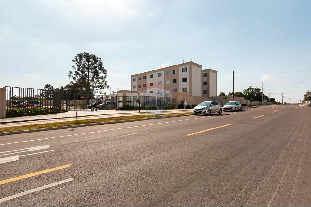 Apartamento - Venda - São José dos Pinhais , Paraná - IMG_4414.jpg - 560321131-15