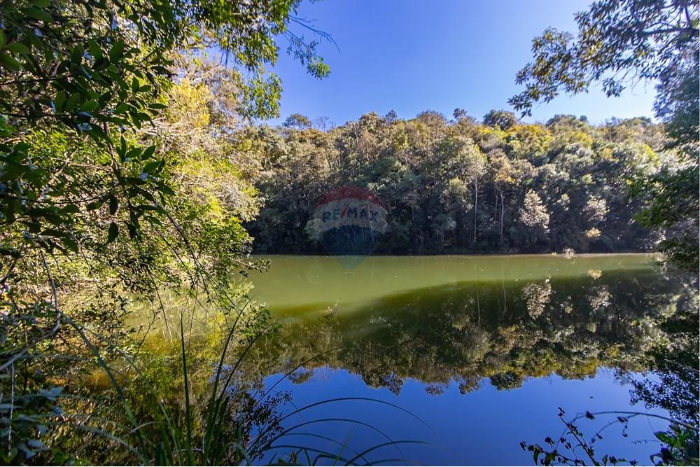 Chácara / Sítio / Fazenda - Venda - Piraquara , Paraná - IMG_3631.jpg - 560431012-39