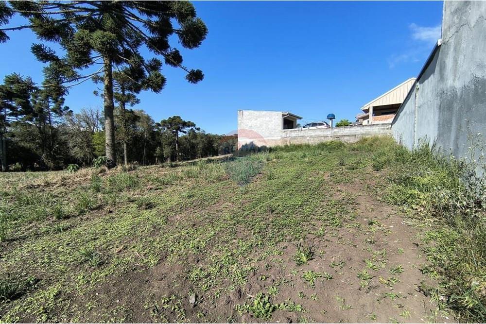 Terreno - Venda - Campo Largo , Paraná - WhatsApp Image 2025-10-06 at 22.05.13.jpeg - 560351155-5