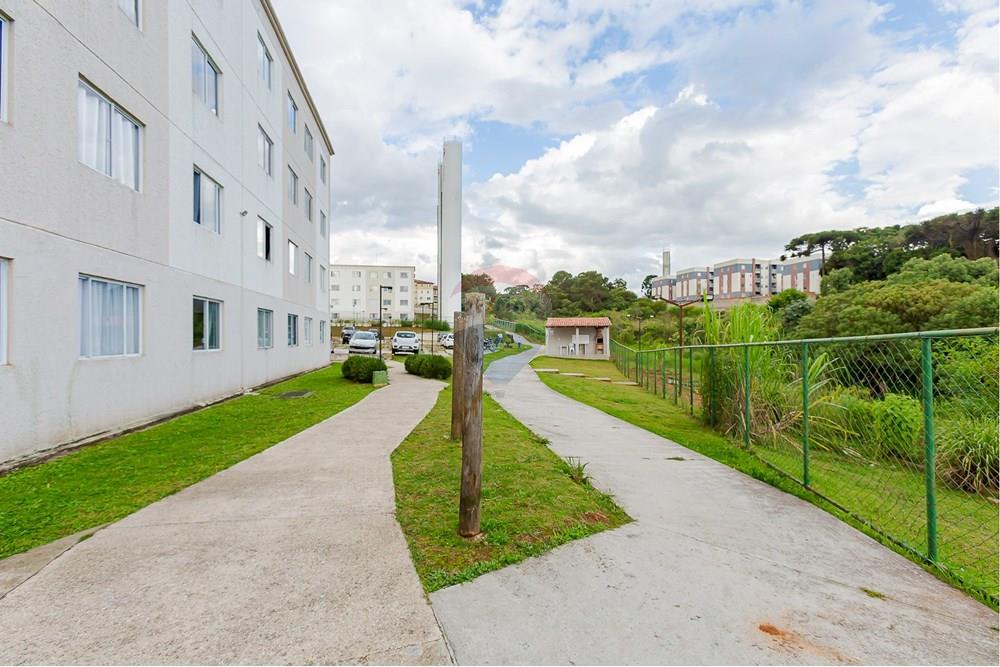 Apartamento - Venda - São José dos Pinhais , Paraná - IMG_2768.jpg - 560351119-12