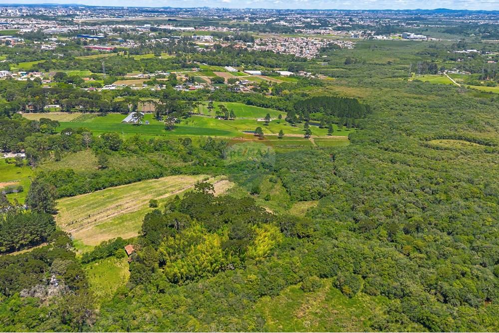 Chácara / Sítio / Fazenda - Venda - São José dos Pinhais , Paraná - DJI_0423_1.jpg - 560331128-24