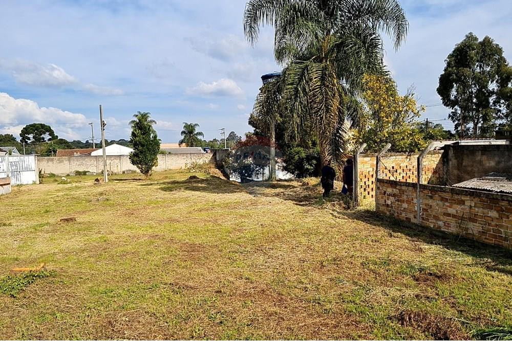 Terreno - Venda - São José dos Pinhais , Paraná - 47f78564-4cae-489a-9ed5-8fc32c26e1e1.jpeg - 560391051-19