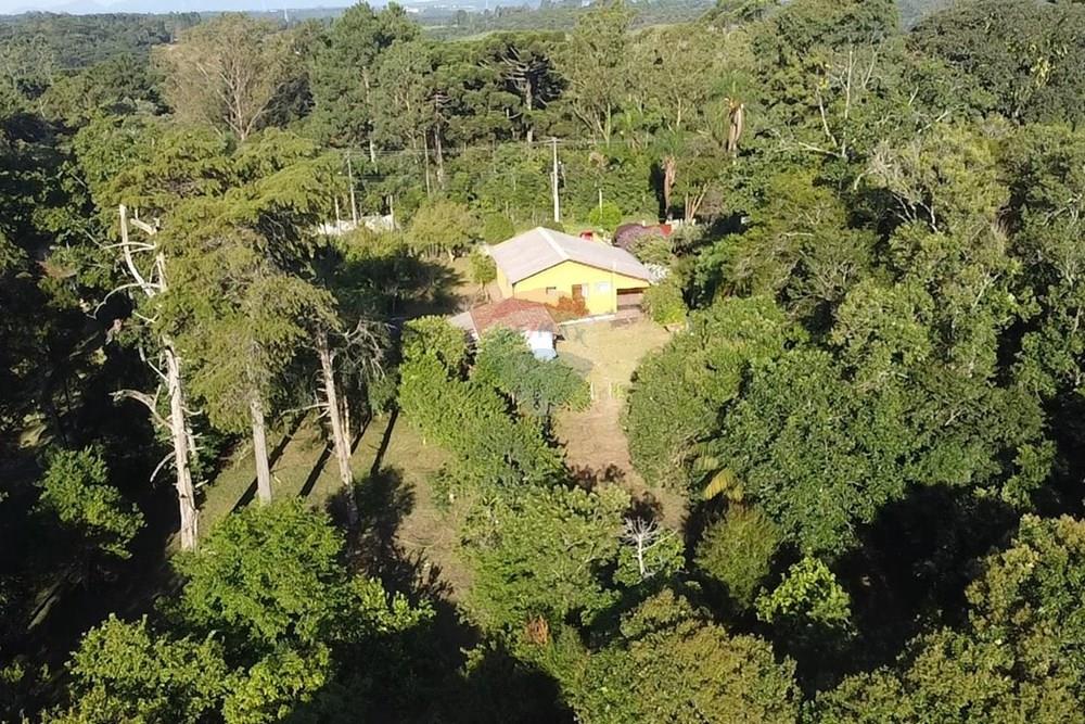 Terreno - Venda - Pinhais , Paraná - dji_fly_20260206_171616_0_1770408976469_photo_low_quality.jpg - 560501001-19