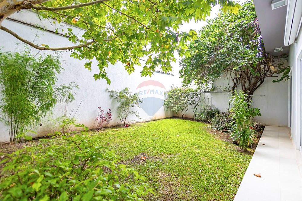 Casa - Venda - Curitiba , Paraná - Sheep - IMG_3240_1.jpg - 560471017-1