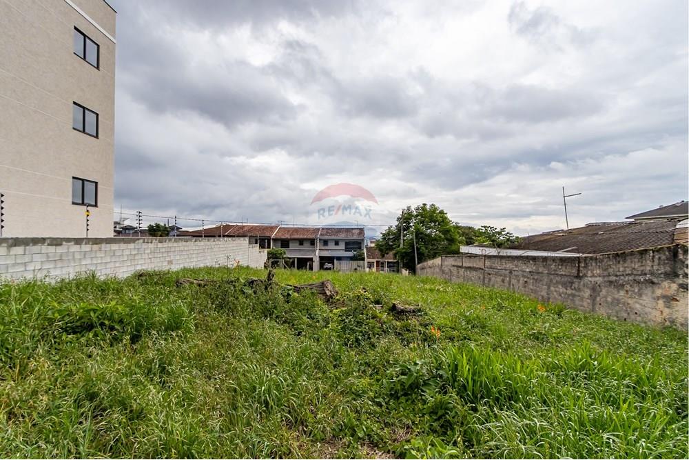 Terreno - Venda - Pinhais , Paraná - IMG_4910.jpg - 560311065-16